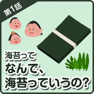 海苔って なんで、海苔っていうの？