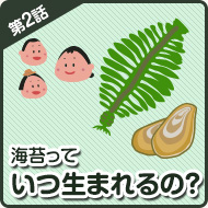 海苔って いつ生まれるの？