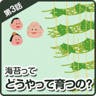 海苔って どうやって育つの？