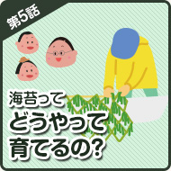 海苔って どうやって育てるの？